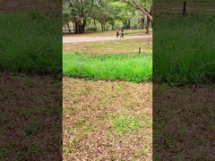 Teknologi Inovatif Panel Surya Portable 100W Untuk Petualangan Luar Ruangan