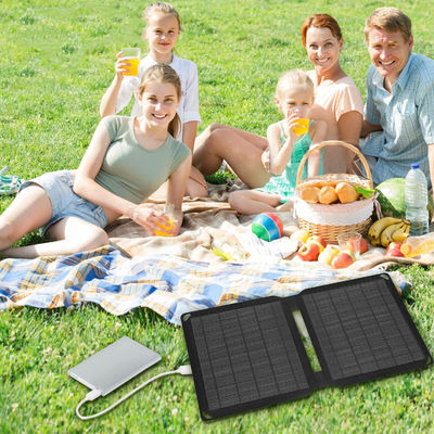 Sel Surya Monocrystalline Portable ETFE Pengecas Panel Surya 10W 5V